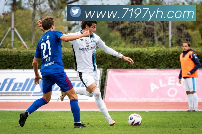 澳门银河官方网站平台生态图